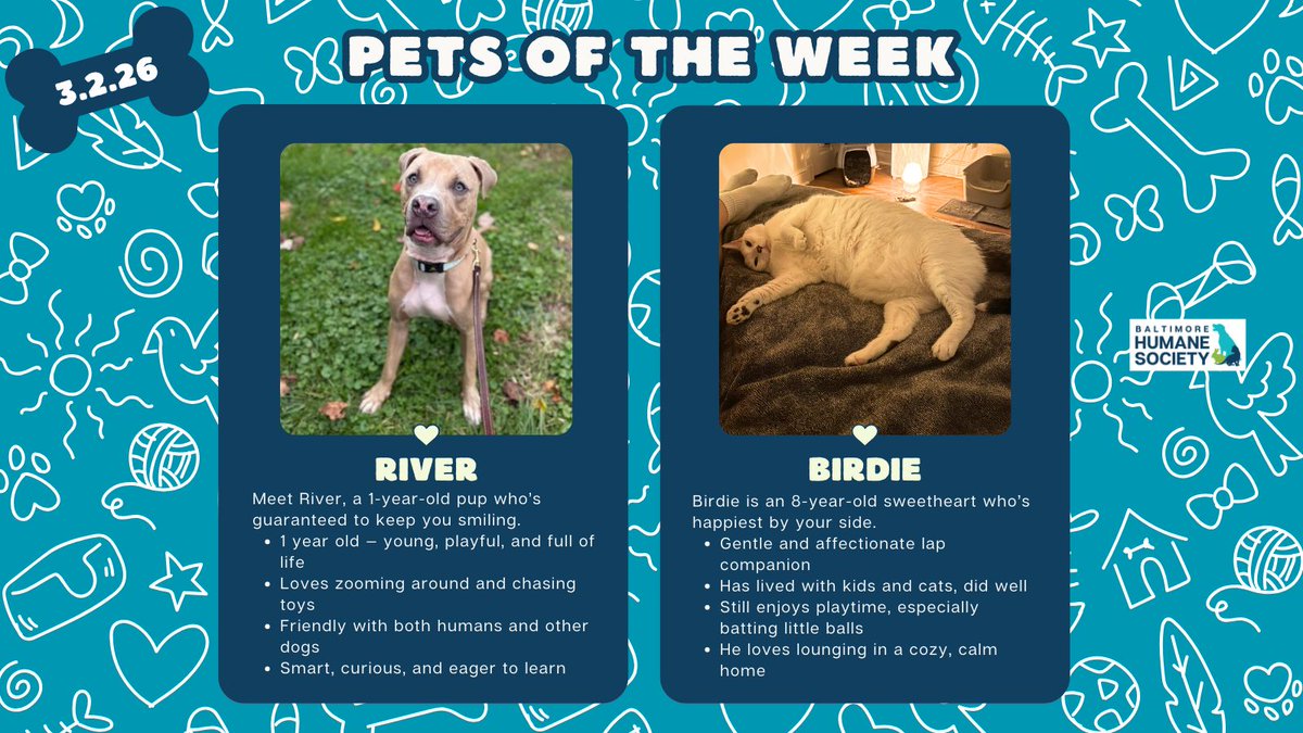 BMORE HUMANE tweet media