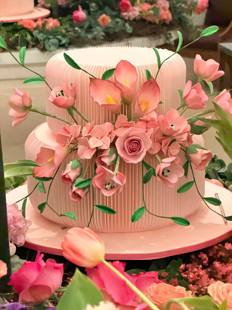 Ana Hickmann tweet media