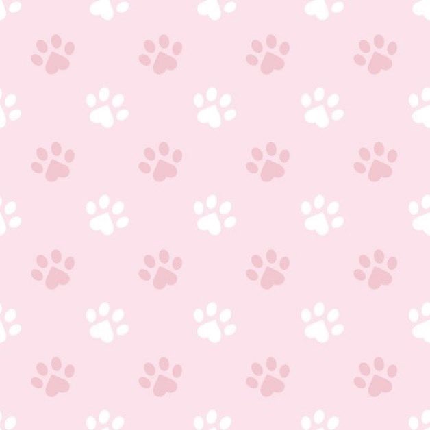 pupckes's tweet photo. ౨ৎ ꒰  pinkie, 25, it/its ꒱ 

pretty puppygirl !! ૮꒰⸝⸝>  ̫ <⸝⸝꒱ა  

⠀⠀:¨ ·.· ¨: ⠀⠀ ⠀⠀ ⠀⠀ ⠀⠀ ⠀⠀
       `· . ꔫ https://t.co/iIJTyC9CFf