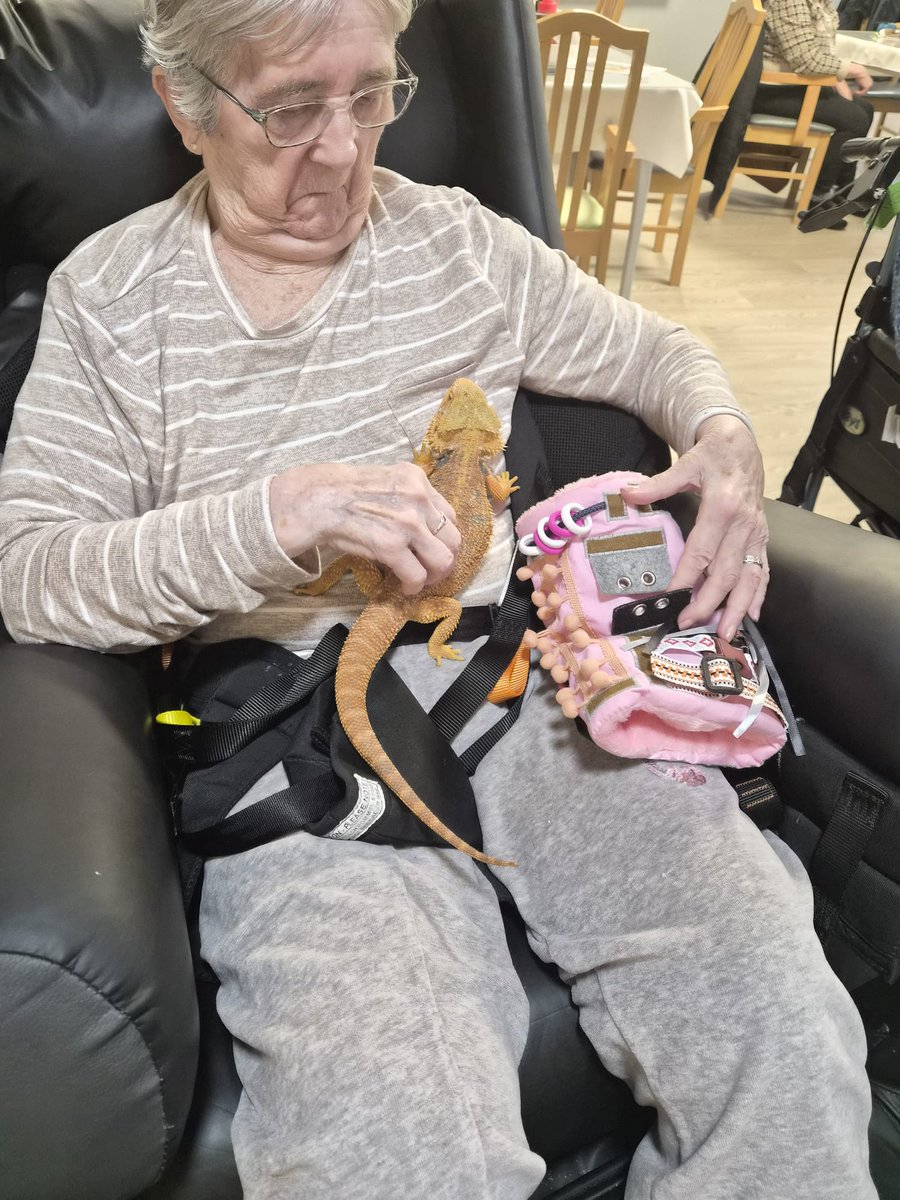 palmsrow's tweet photo. Another fantastic visit from The Mobile Mini Zoo - it is fantastic the range of animals we get to meet each time 🕷️🐍🐢🦎

#Sheffield #carehome https://t.co/qEuF7y0scL