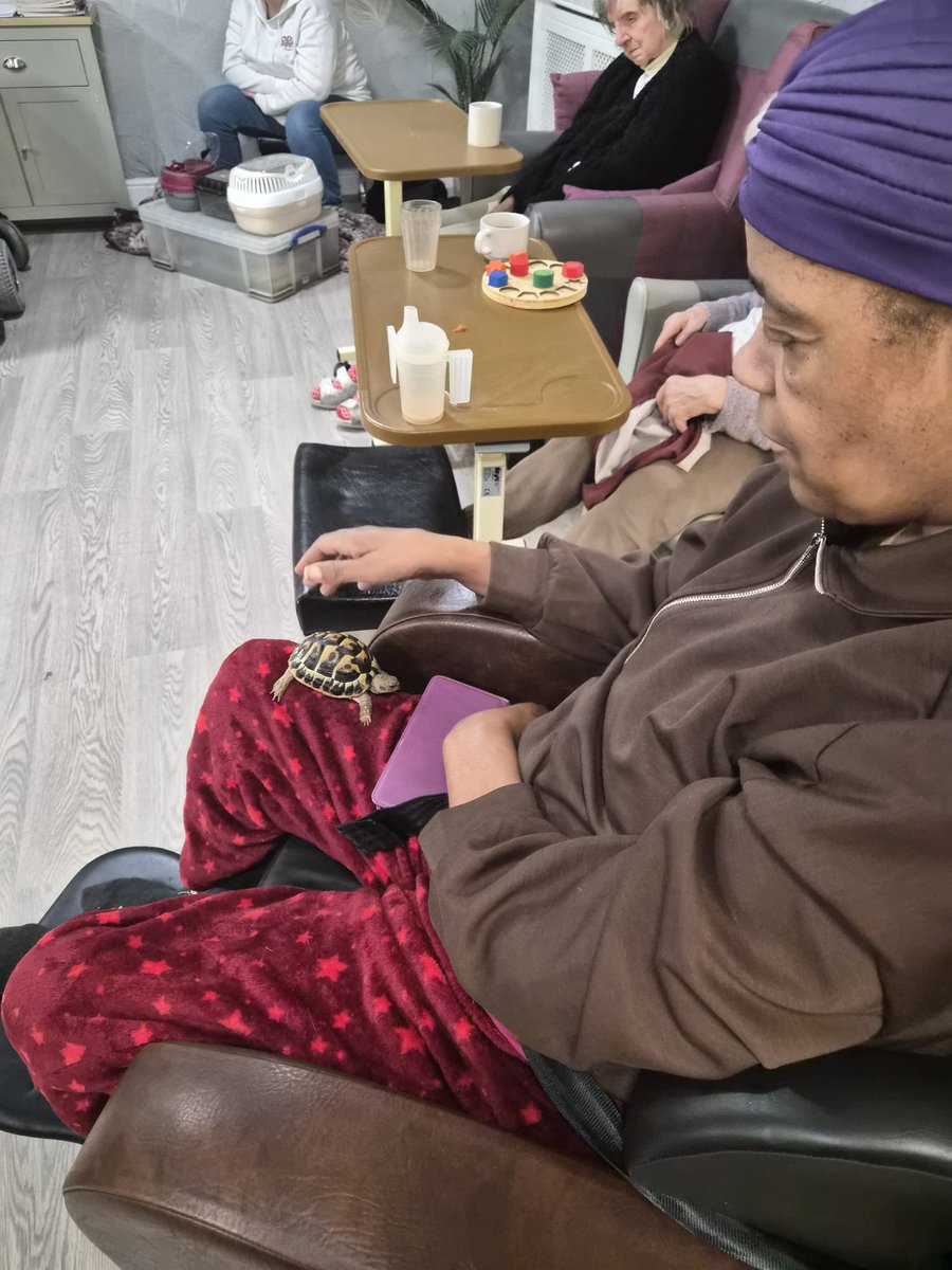 palmsrow's tweet photo. Another fantastic visit from The Mobile Mini Zoo - it is fantastic the range of animals we get to meet each time 🕷️🐍🐢🦎

#Sheffield #carehome https://t.co/qEuF7y0scL