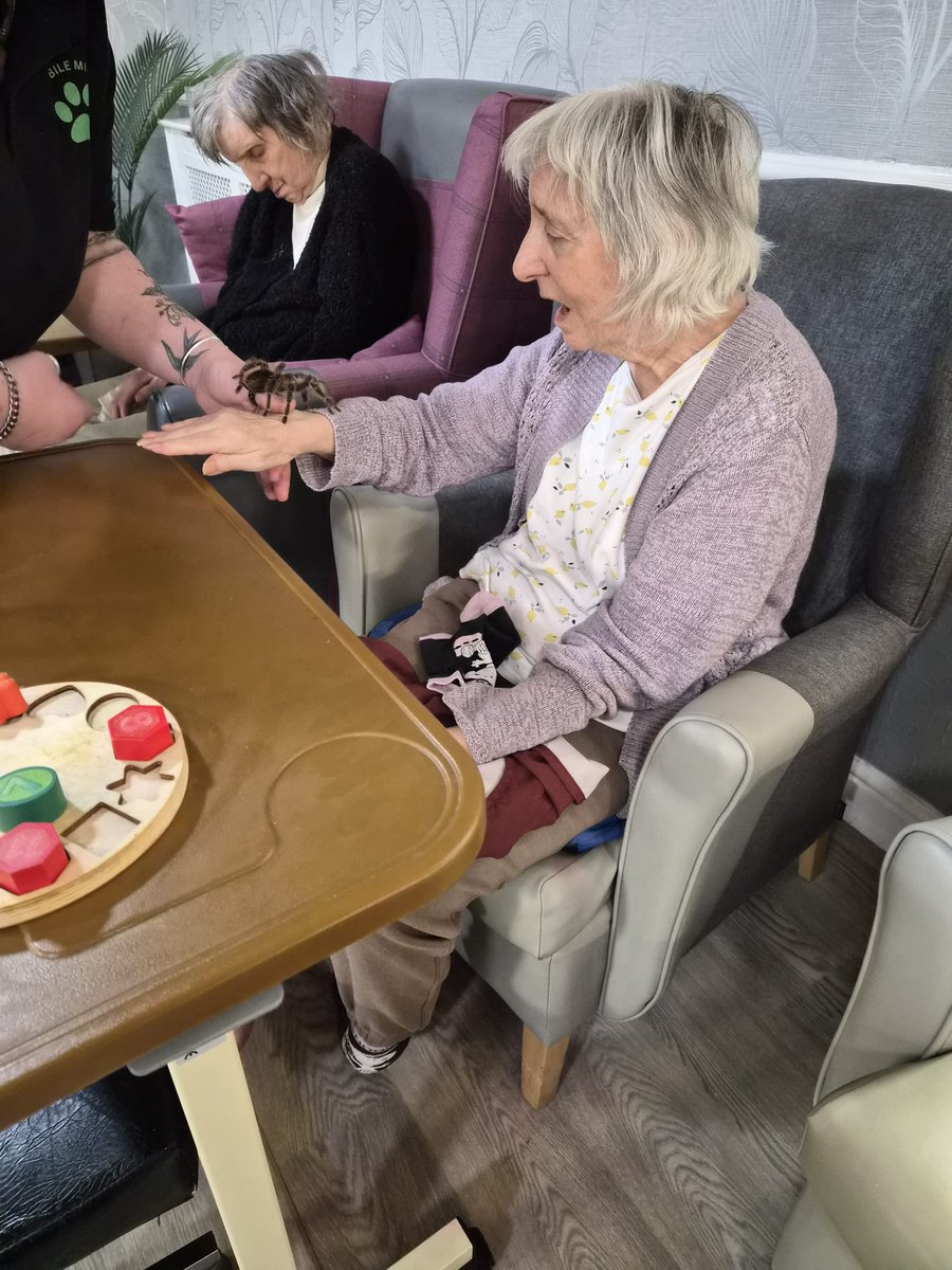 palmsrow's tweet photo. Another fantastic visit from The Mobile Mini Zoo - it is fantastic the range of animals we get to meet each time 🕷️🐍🐢🦎

#Sheffield #carehome https://t.co/qEuF7y0scL