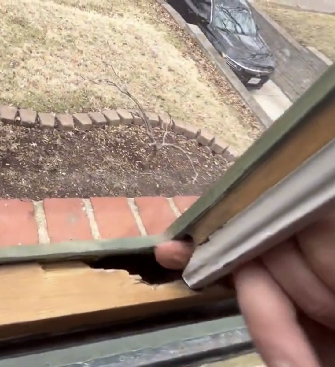 EducatëdHillbilly™ tweet media