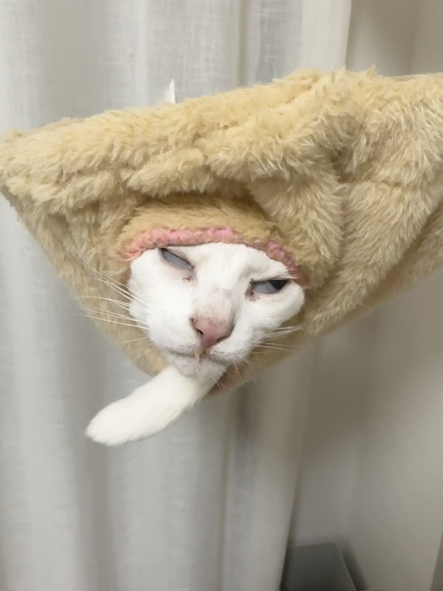 カーピー (@Kaap824598072) / Posts / X