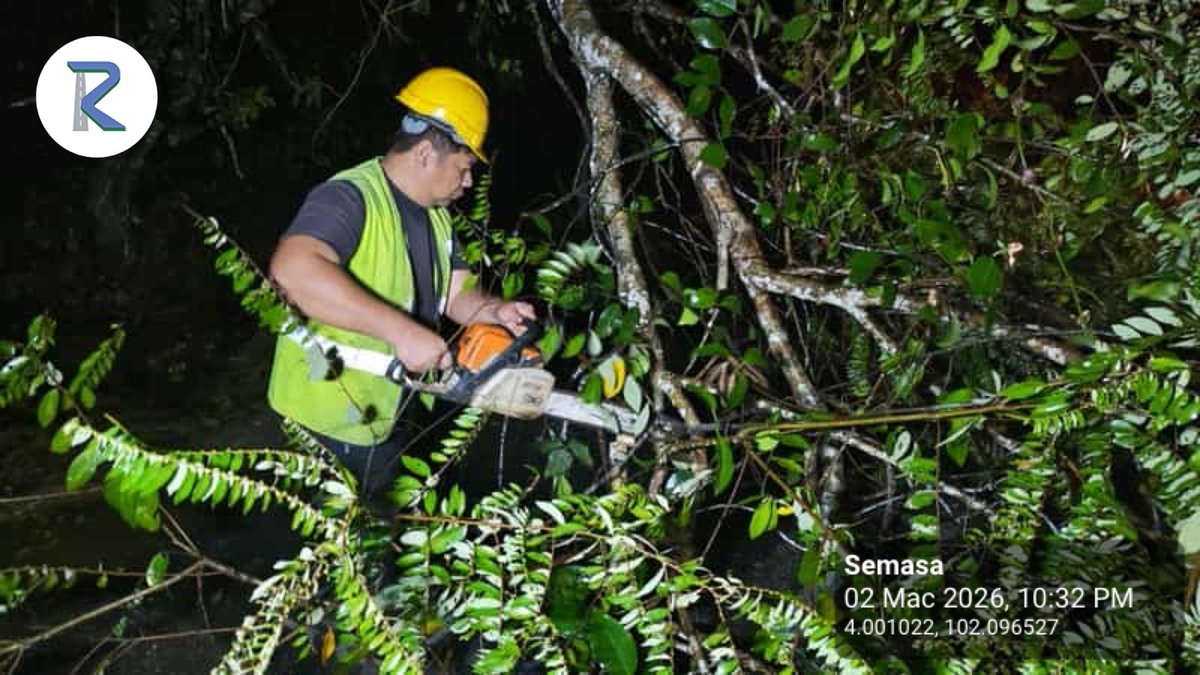 Roadcare Lipis Cameron tweet media