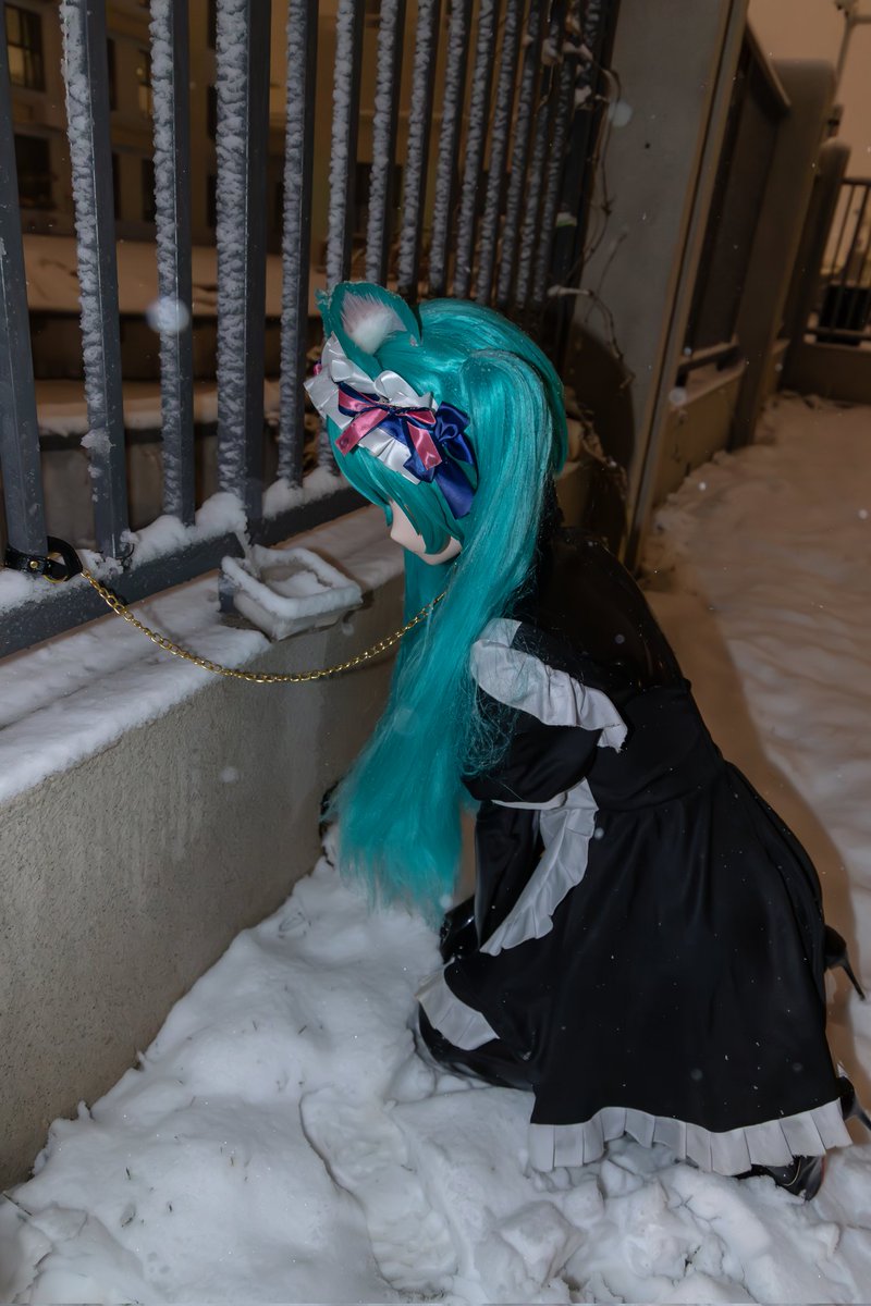 夏亚55406 tweet media