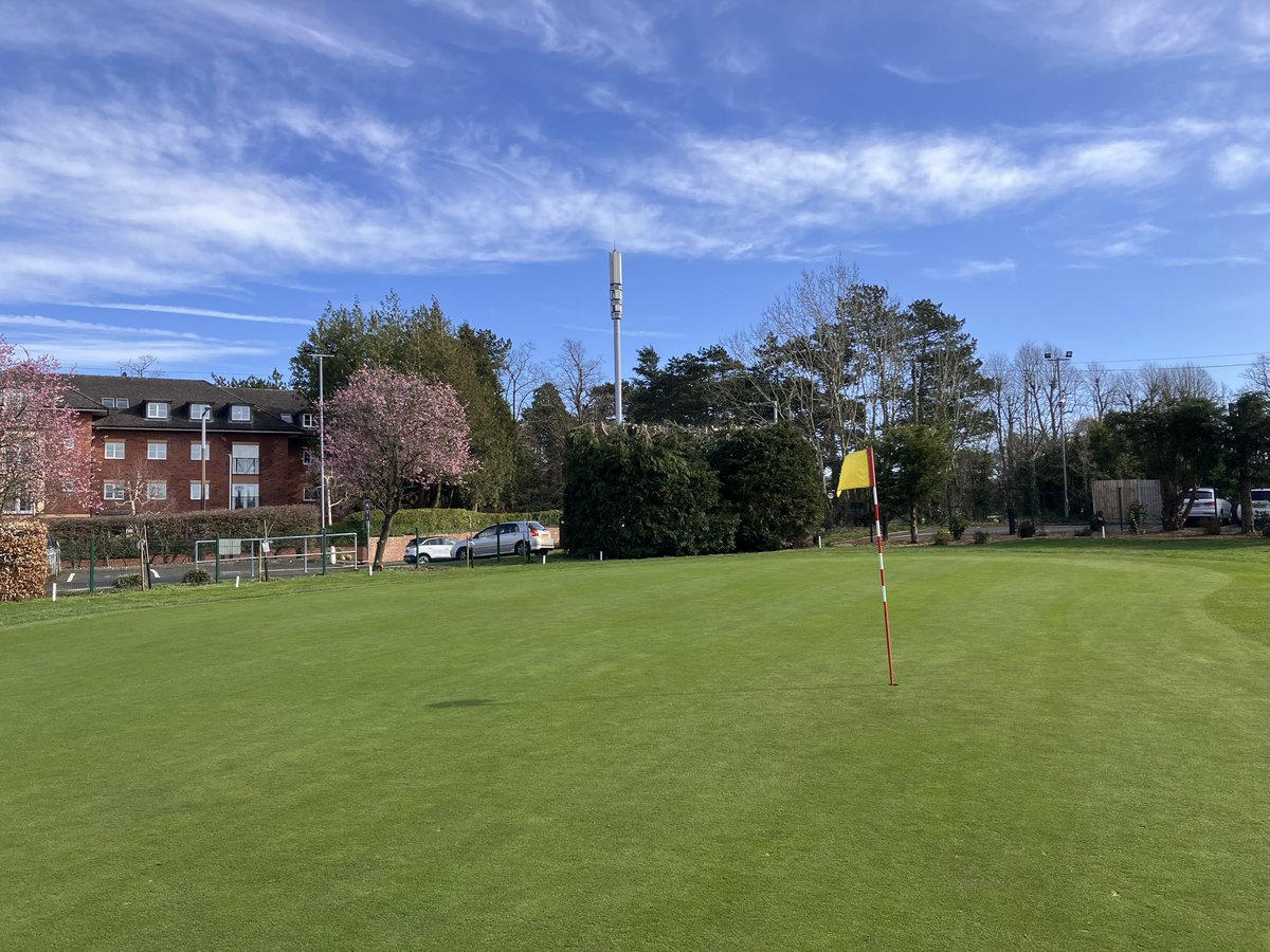 Tom Barnett tweet media