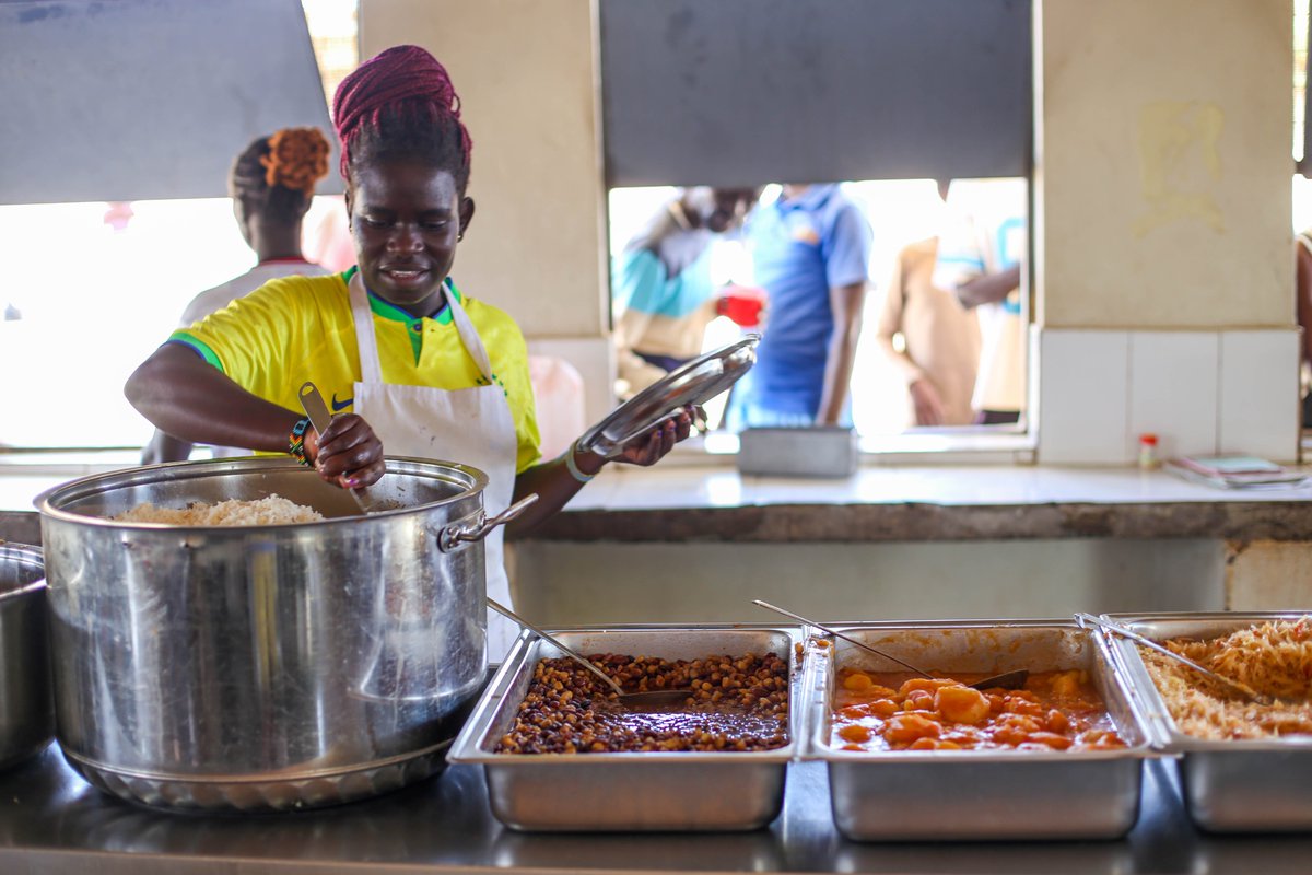 Learning Lions tweet media