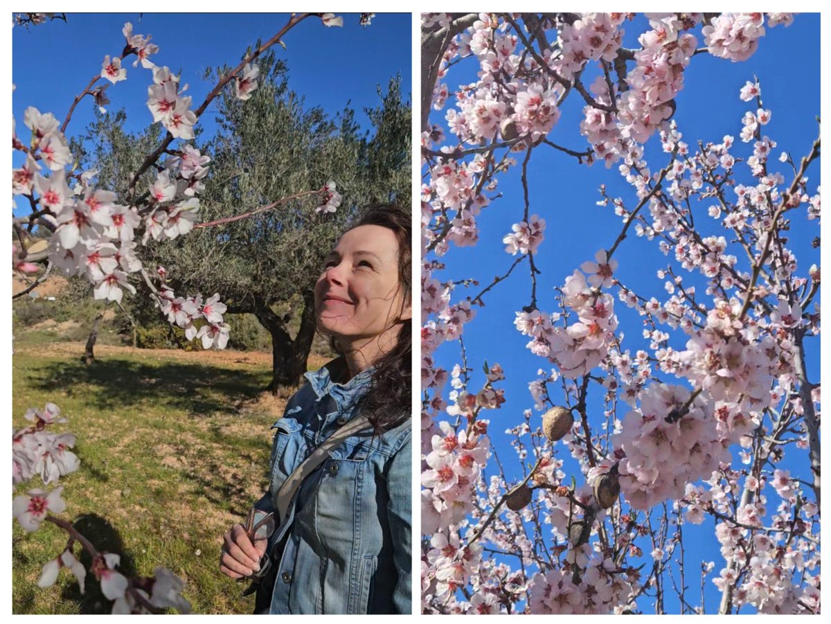 HetkanWEL tweet media