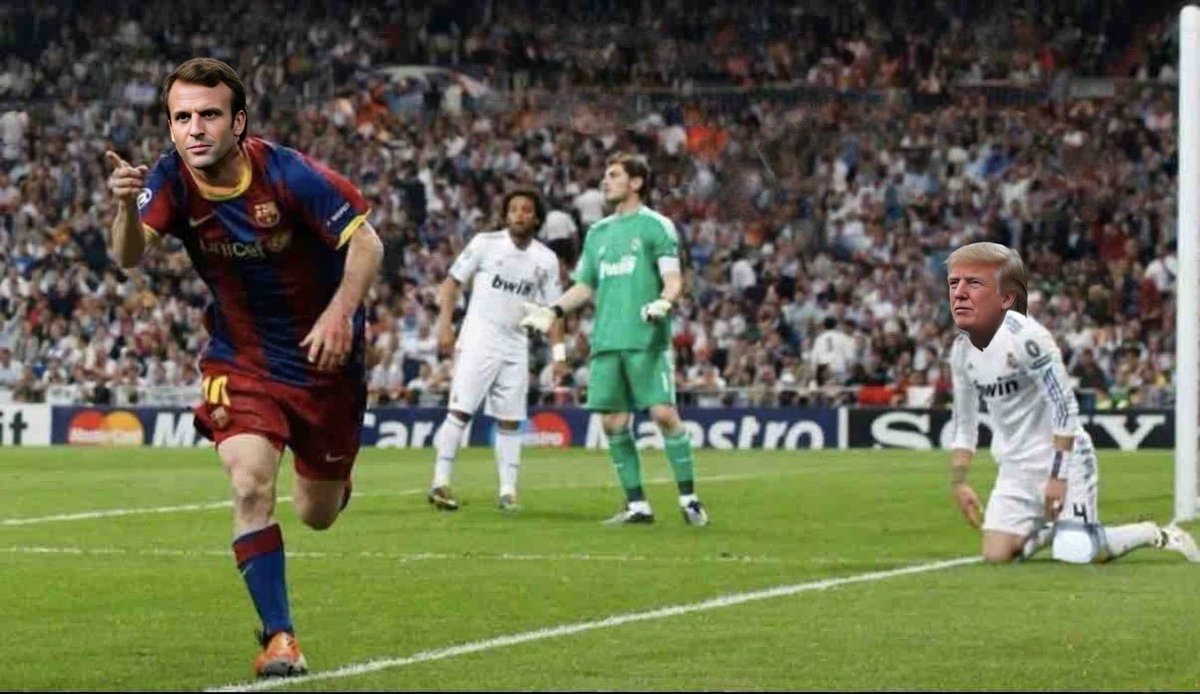 yamcha 🇵🇸 tweet media