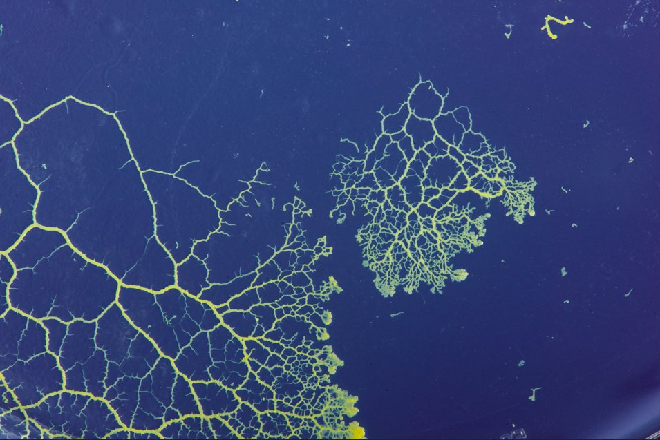 U of T Physics tweet media