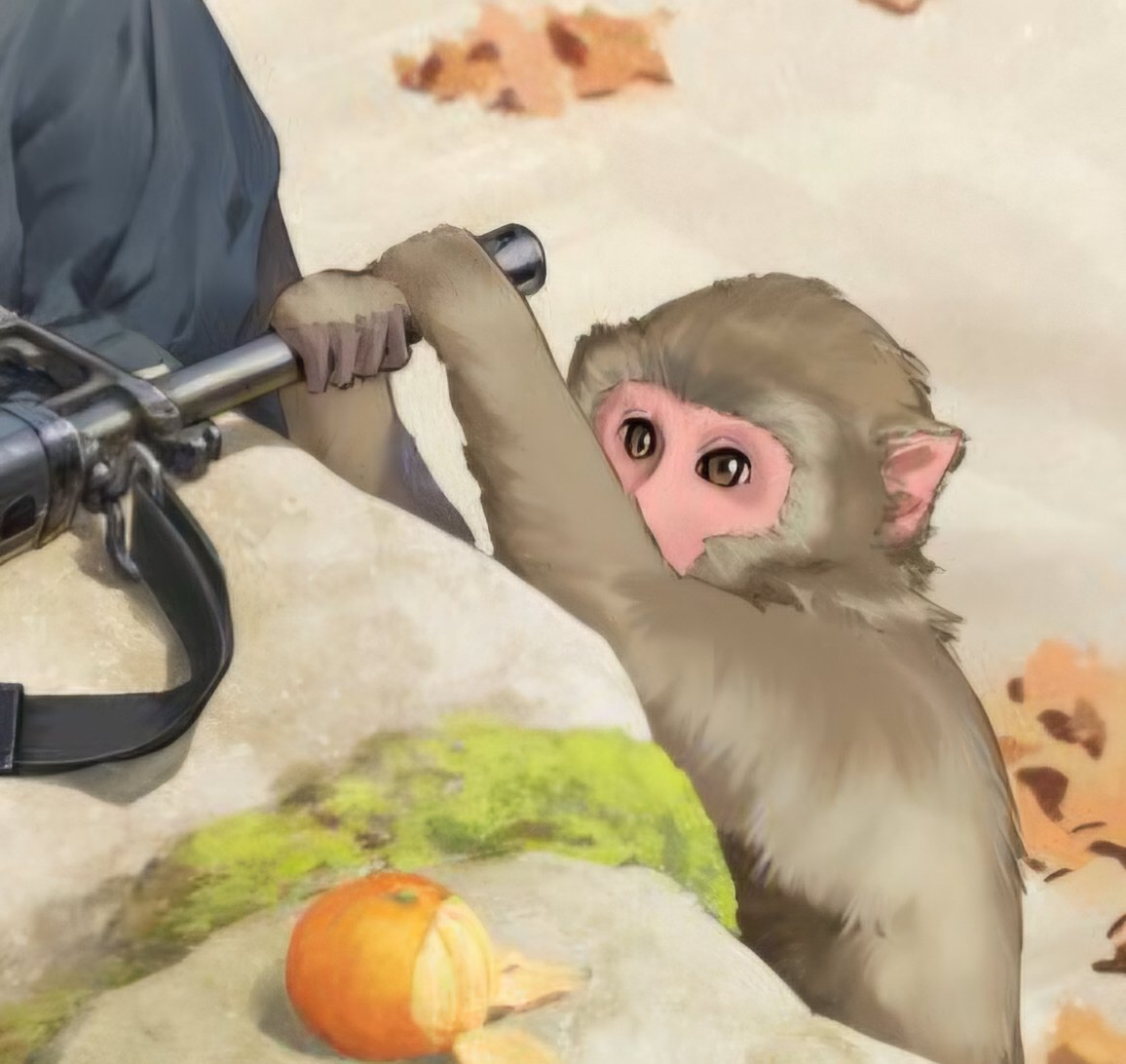 Coffee Addicted Coyote tweet media