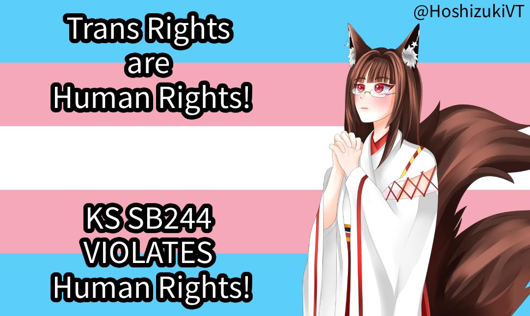 🏳️‍⚧️Do NOT let Kansas be the start!🏳️‍⚧️

Raise awareness!

#TransRightsAreHumanRights #LGBTQIA