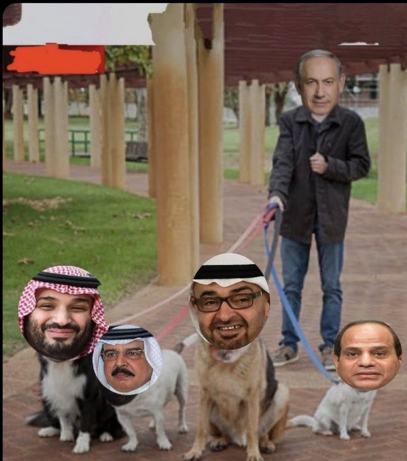 HjRajit's tweet photo. @Marchfoward Anjing² Israel mana boleh bg muka https://t.co/eRHbIpFUN3
