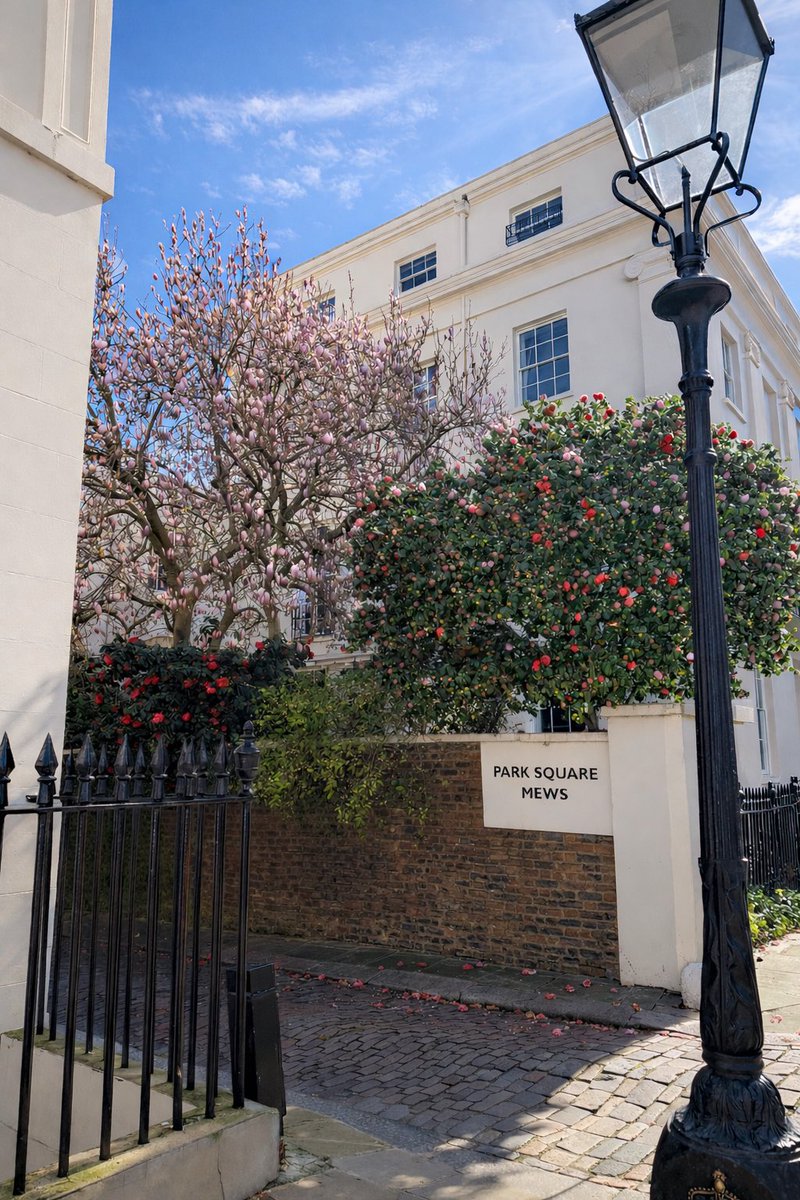 ☆ℂ𝕒𝕥𝕙𝕒𝕣𝕚𝕟𝕒☆ tweet media