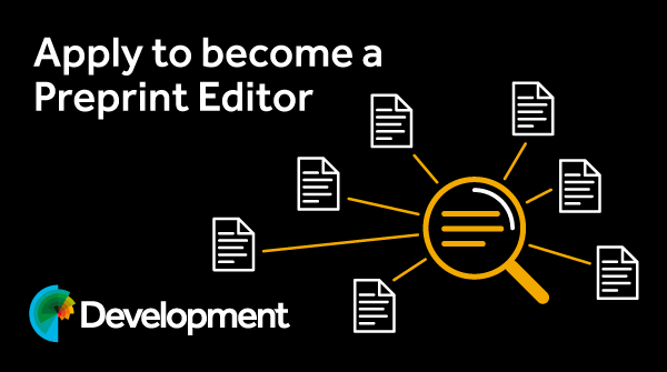 Development tweet media