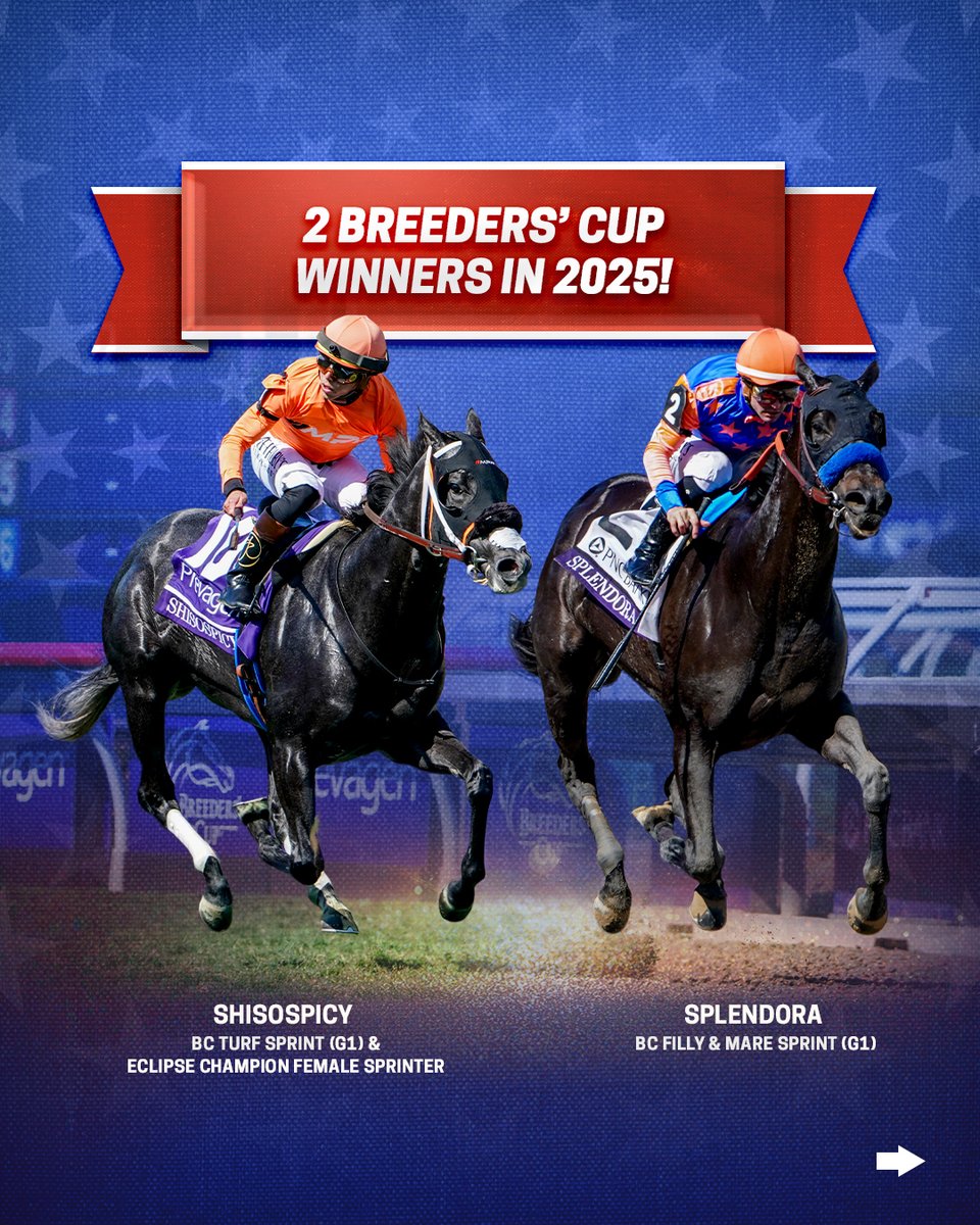 Fasig-Tipton tweet media