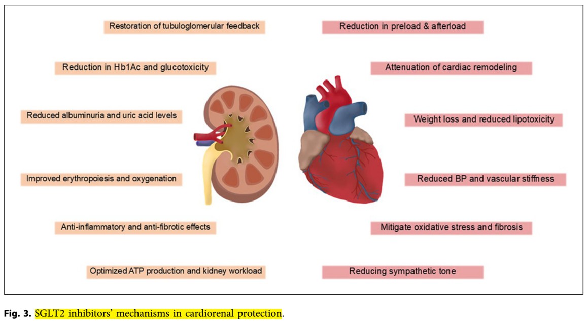 Nefro_Tweets tweet media