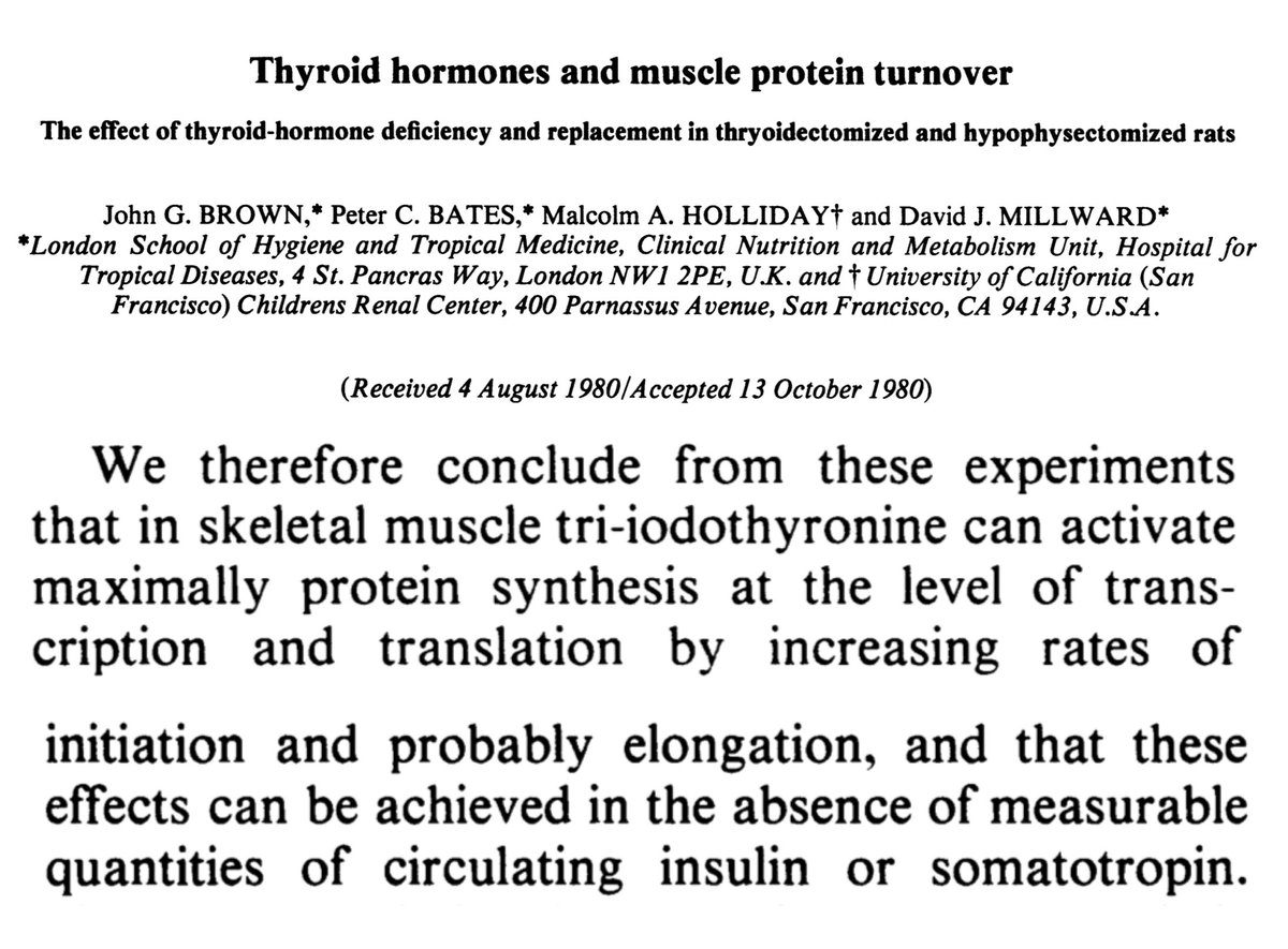 Master Metabolism tweet media
