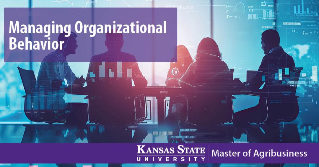 K-State MAB tweet media