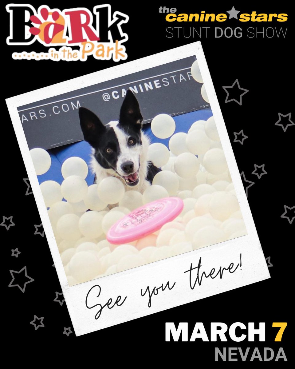 The Canine Stars tweet media