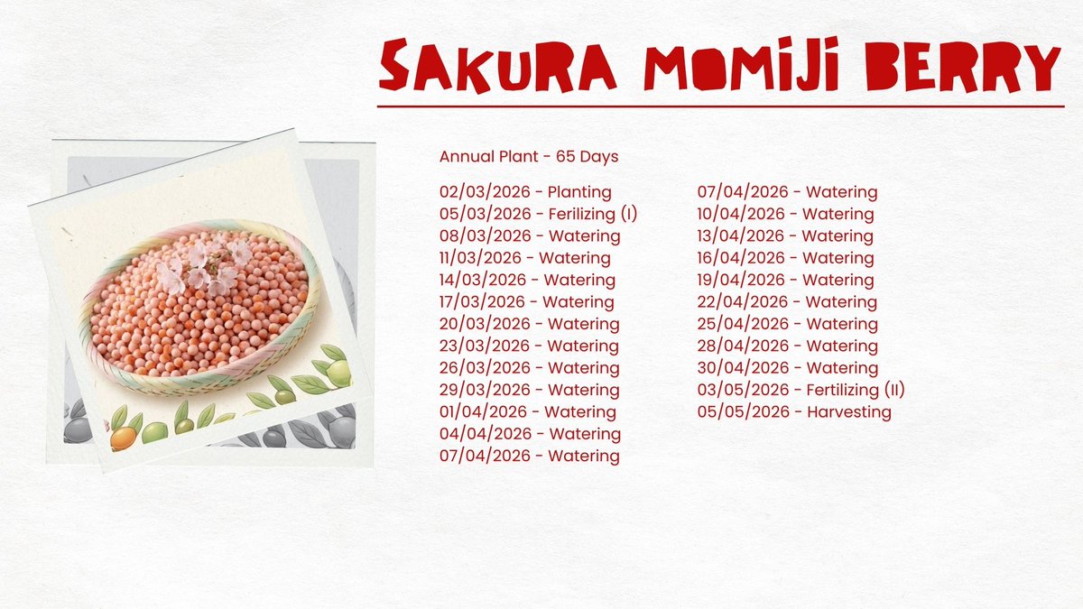 Kenzo、青空. tweet media