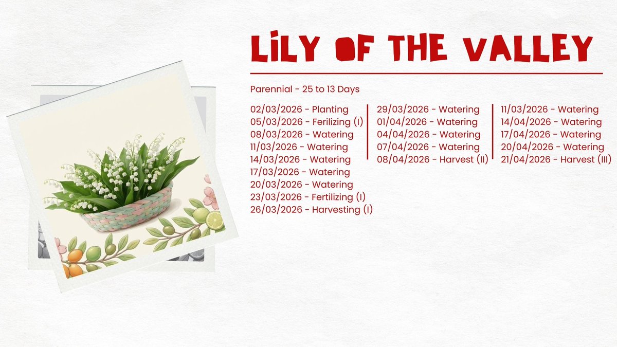 Kenzo、青空. tweet media