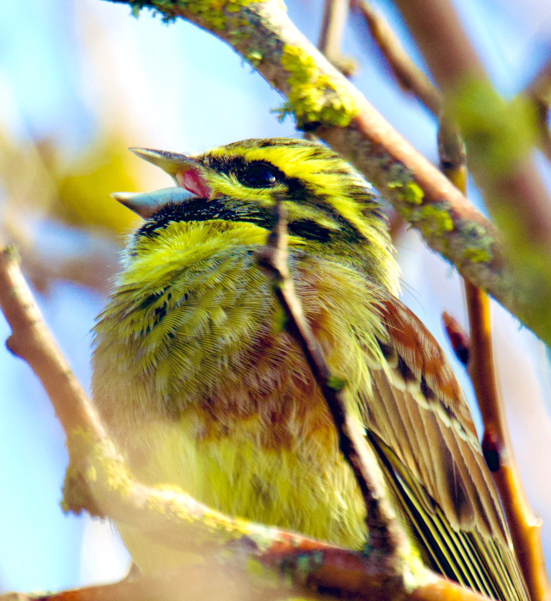 Tim Ridgeway tweet media