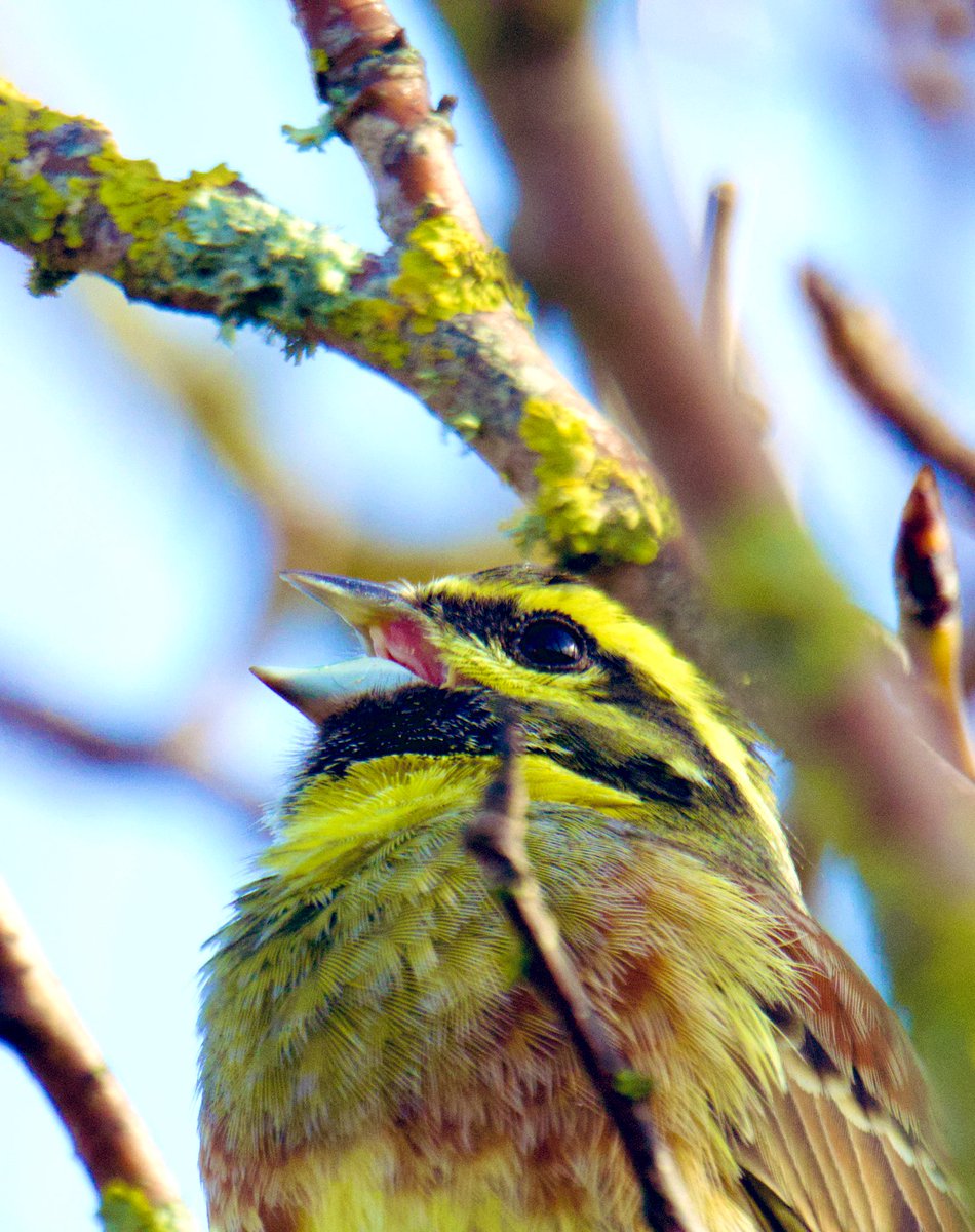 Tim Ridgeway tweet media