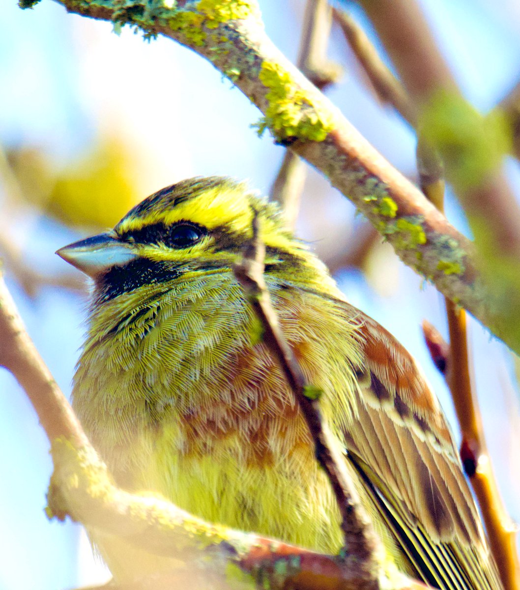 Tim Ridgeway tweet media