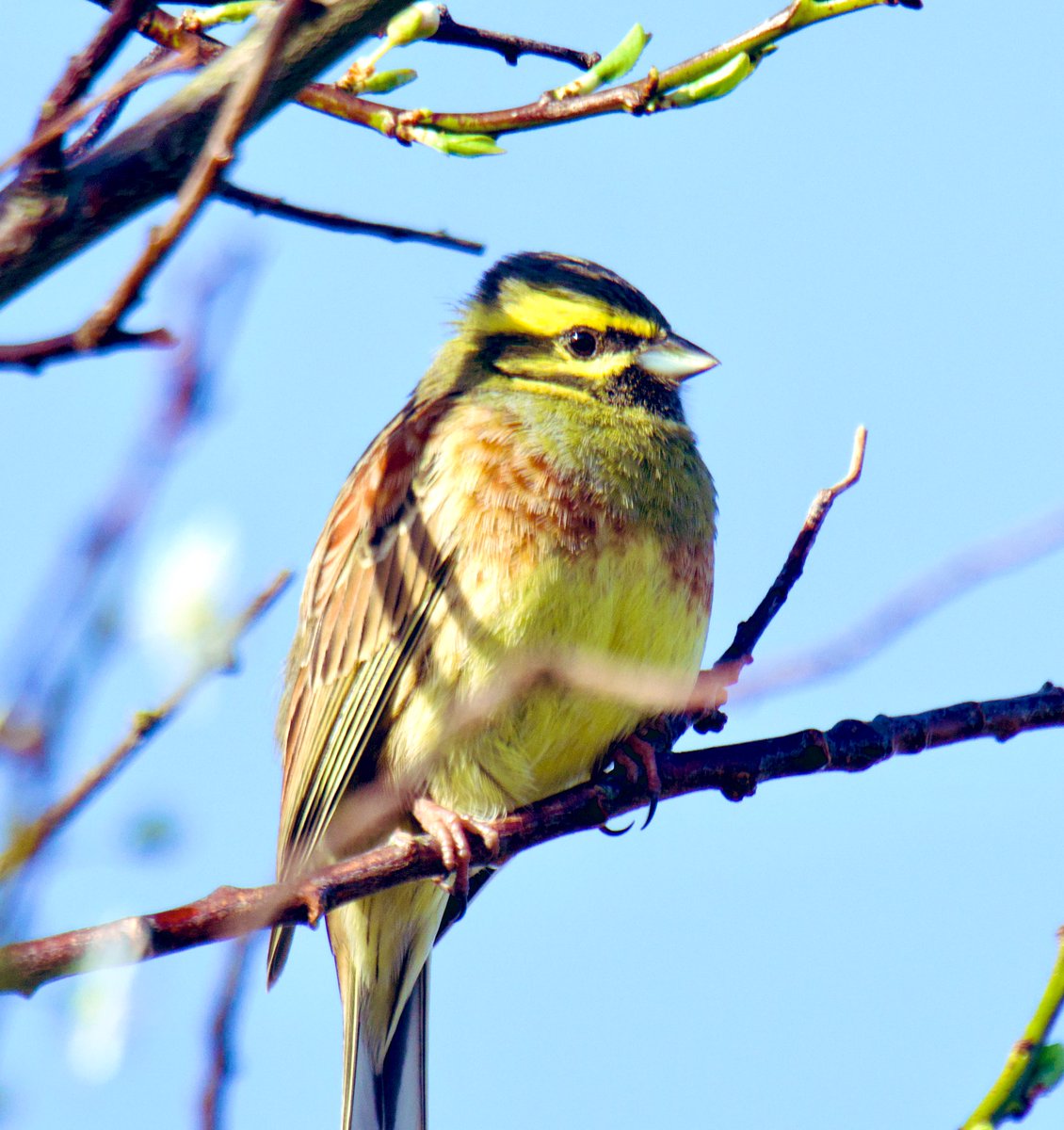 Tim Ridgeway tweet media