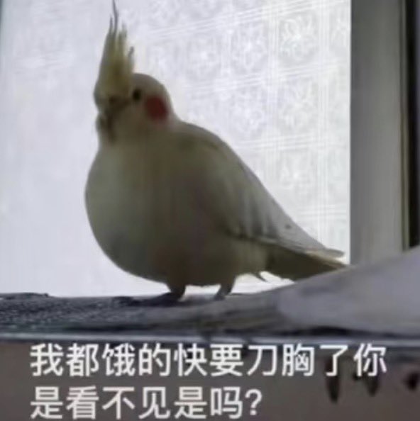 吧啦啦小腾 tweet media