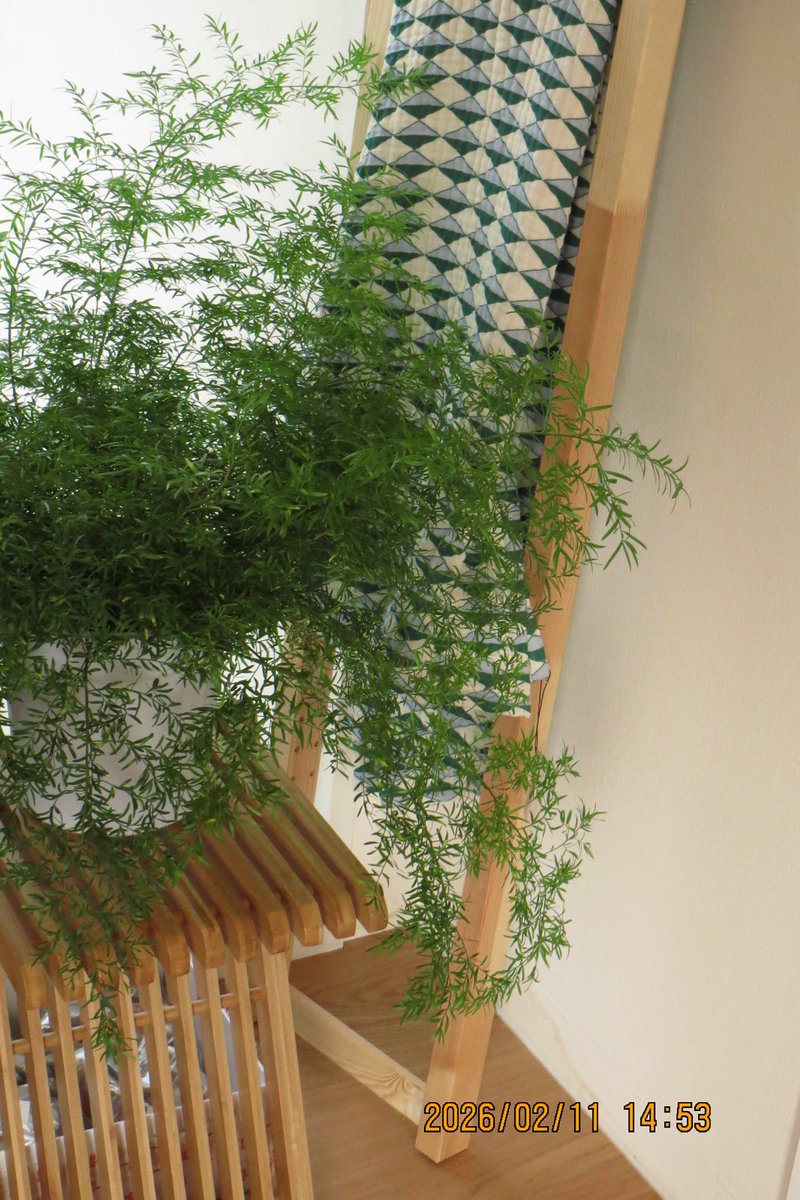 𝗦𝟮 tweet media