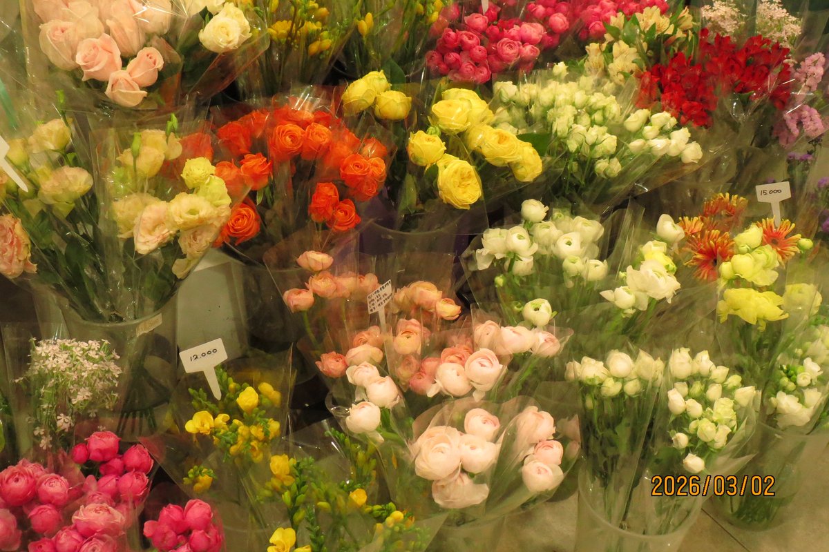 𝗦𝟮 tweet media