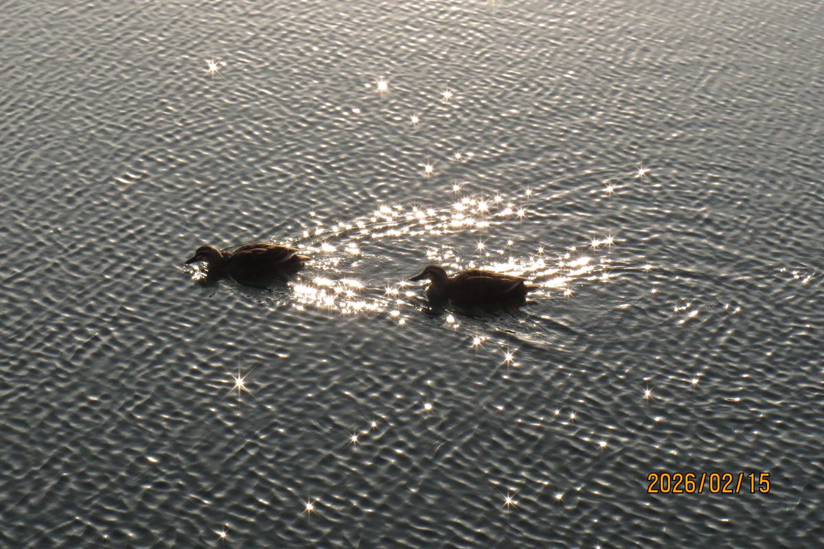 𝗦𝟮 tweet media