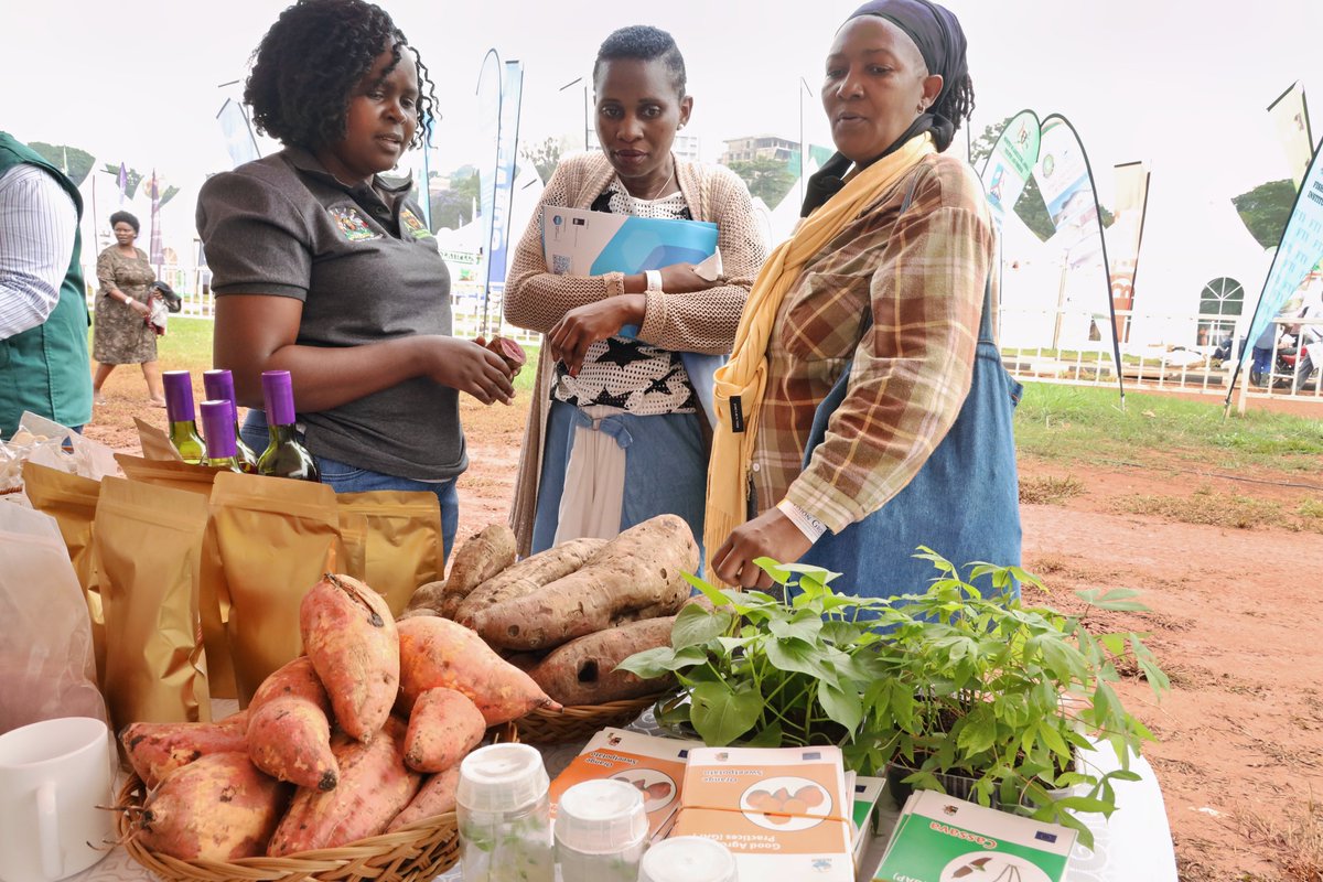 NARO Uganda tweet media