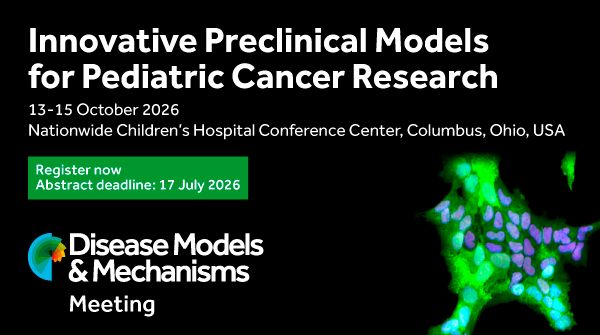 DMM Journal tweet media