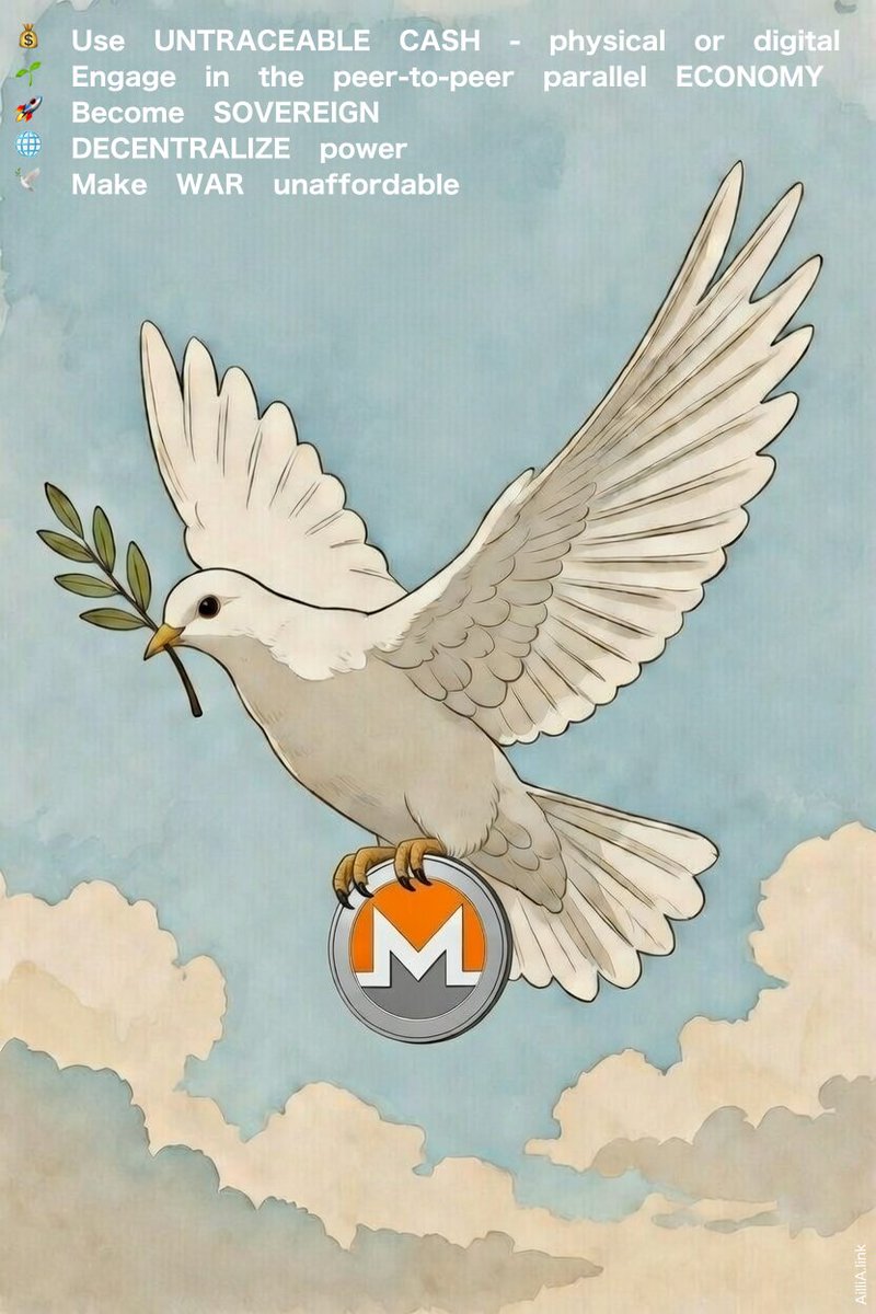 💰 Use UNTRACEABLE CASH - physical or digital

🌱 Engage in the P2P parallel/circular ECONOMY

🚀 Become SOVEREIGN

🌐 DECENTRALIZE power

🕊️ Make WAR unaffordable