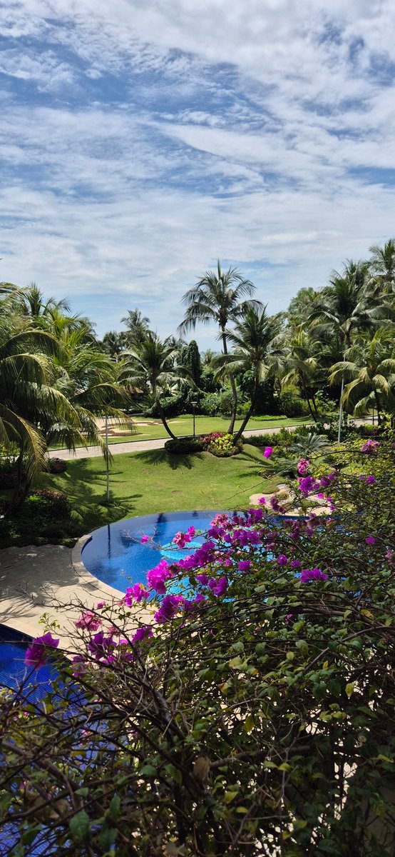 Alexandra tweet media