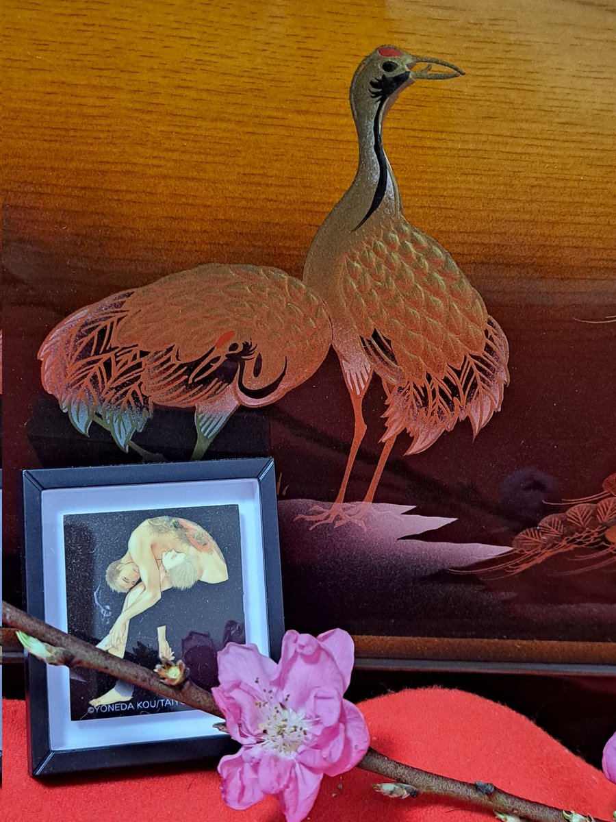 囀る鳥は羽ばたかない