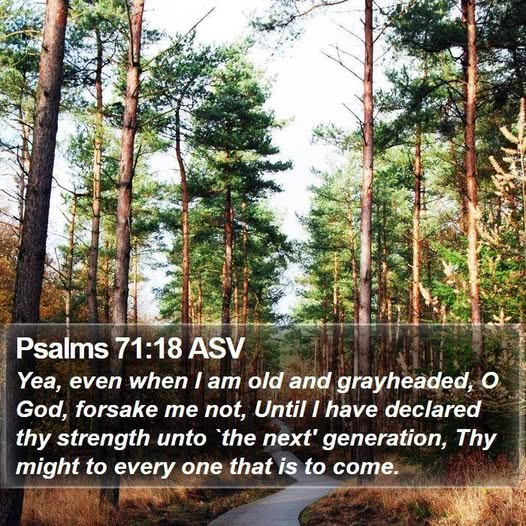 Bernadette99797's tweet photo. Trust JESUS
#bibleverseoftheday #ScriptureInspiration #JesusIsGod #JesusLovesYouMoreThanYouKnow #jesussaves #JesusIsTheWayTheTruthAndTheLife #Jesusiscomingbacksoon https://t.co/1EN0oaWjoG