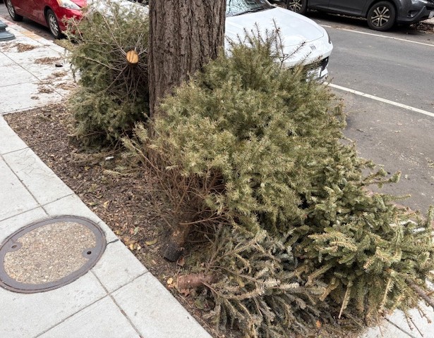 Sam Alcorn tweet media