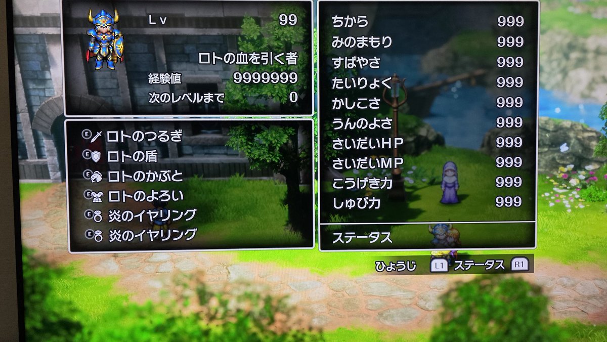 OPG___ENOH's tweet photo. さて‼️

そろそろ竜王倒すか
#ドラクエ1リメイク https://t.co/WI6HnmcC9a