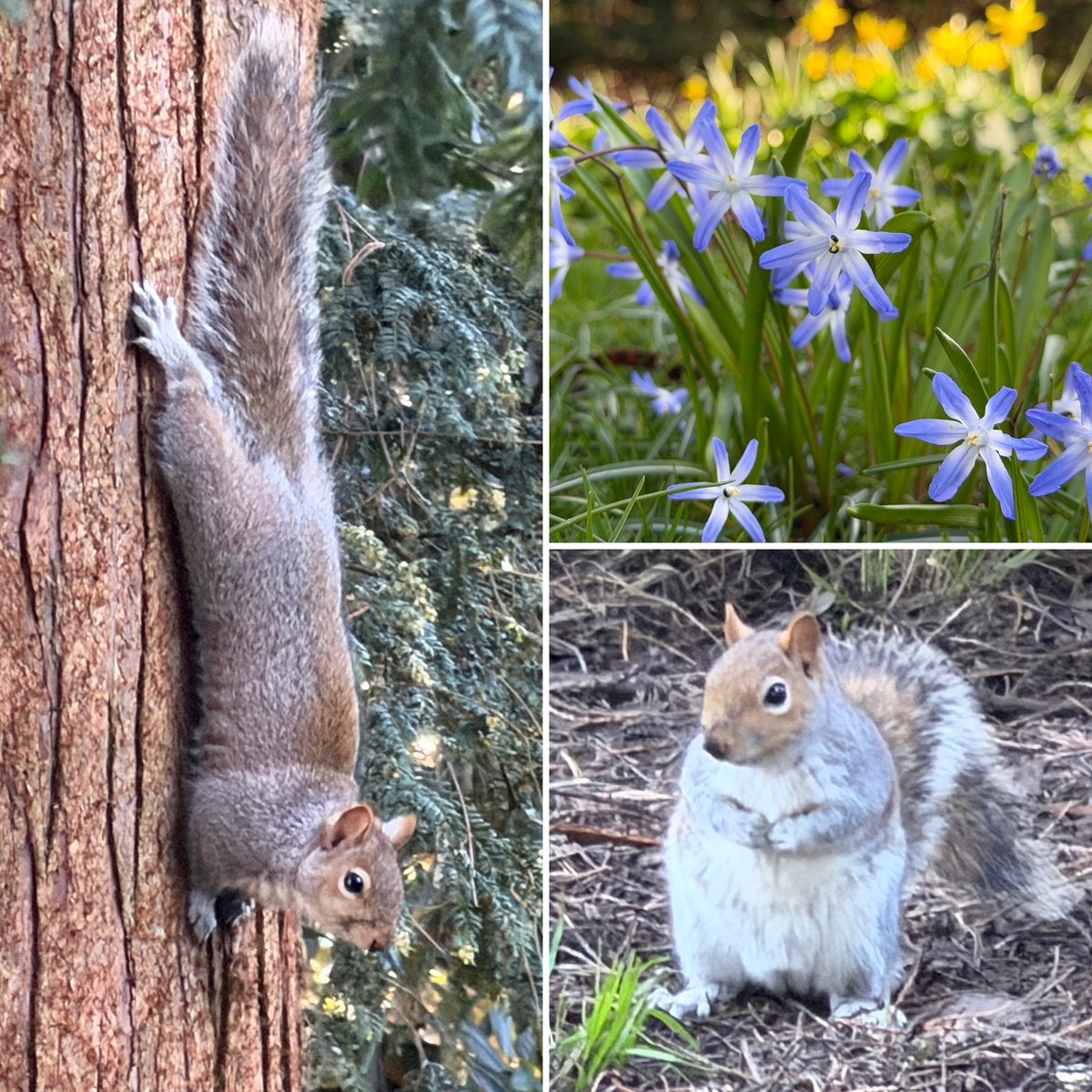 Iain Abernethy tweet media