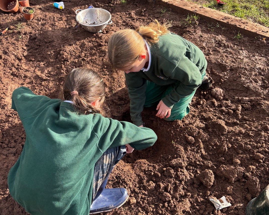 Exeter Consortium Schools' Alliance tweet media