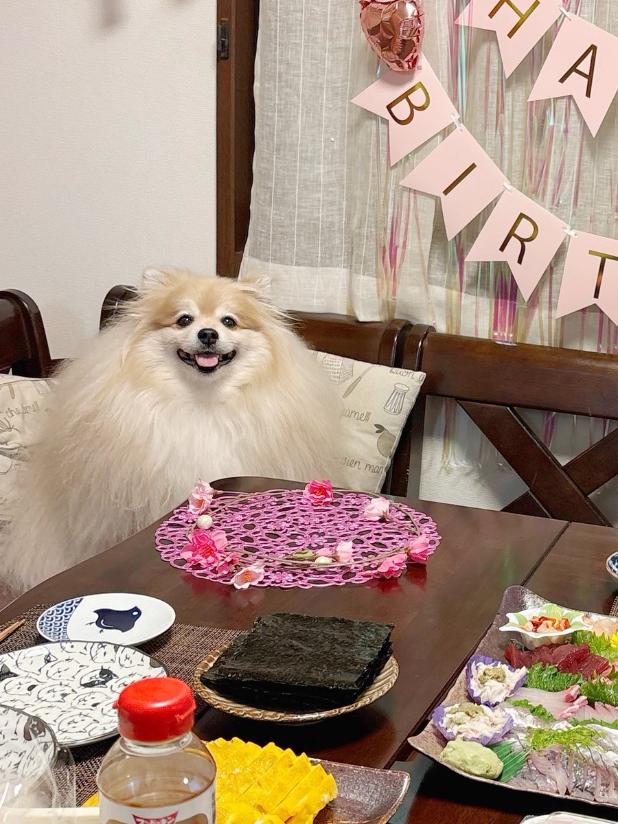 妖(よう) (@snow_white_999) / Posts / X