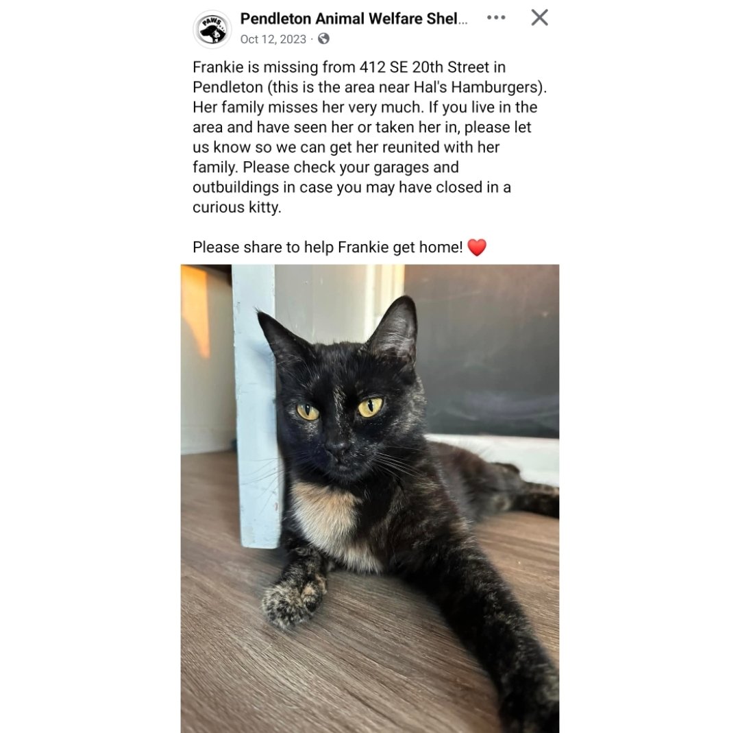 shaindelr's tweet photo. Frankie went missing in 2023, but Lilli never gave up hope. Yesterday, a cat came into our shelter, & when we scanned her for a chip, it was Frankie! Lilli showed up *immediately* to pick up her old friend.
Always microchip your pets & keep your information updated ππΎ #cats #microchipmiracle