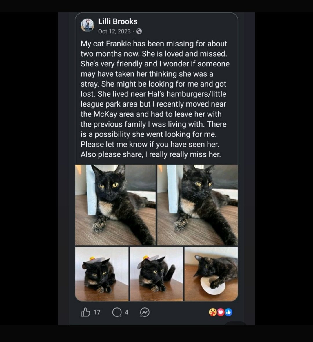 shaindelr's tweet photo. Frankie went missing in 2023, but Lilli never gave up hope. Yesterday, a cat came into our shelter, & when we scanned her for a chip, it was Frankie! Lilli showed up *immediately* to pick up her old friend.
Always microchip your pets & keep your information updated ππΎ #cats #microchipmiracle
