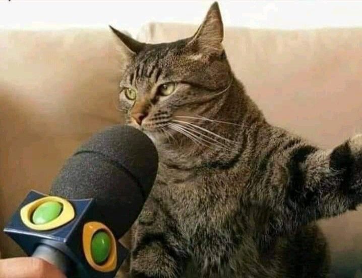 I randomly remembered last night how silly the urbex scene was when I was in it. 

You'd have people doing instagram lives at spots and then another group of people who didn't want locations shared or hated that group calling the cops on them at the spot. 
Grown adults claiming