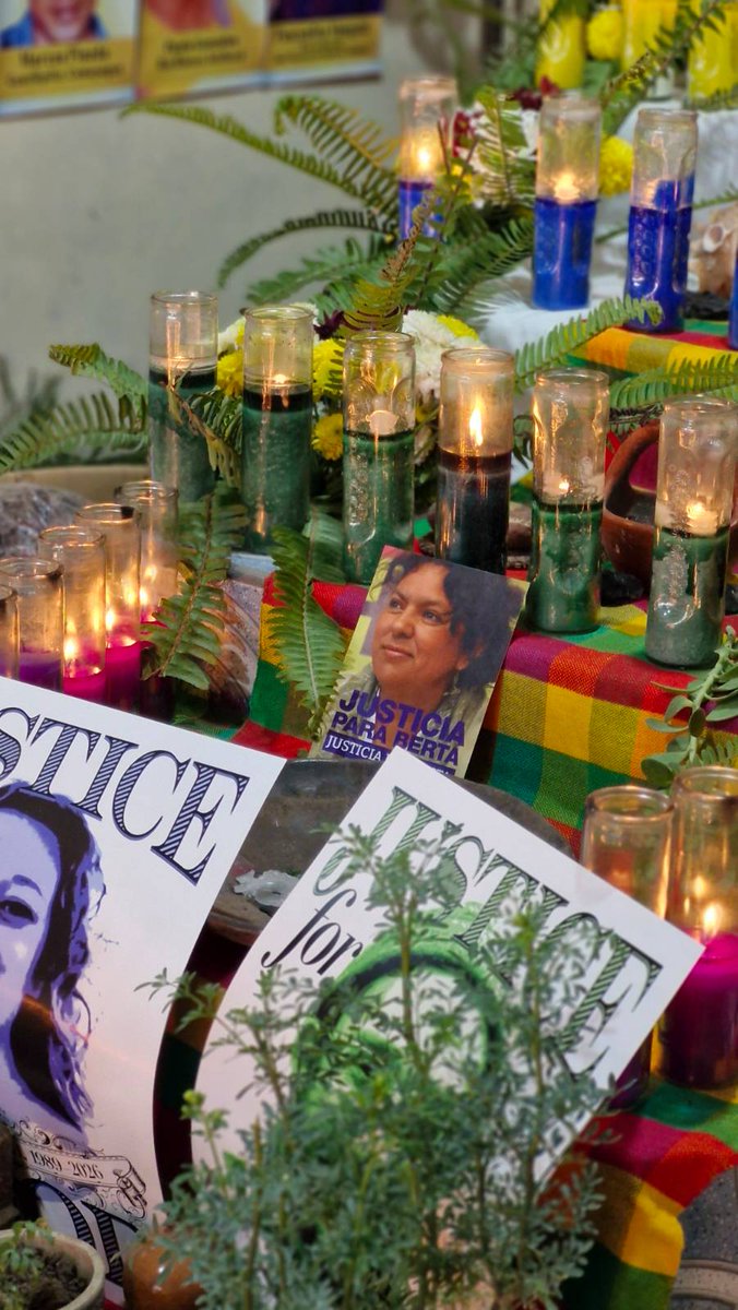 IM-Defensoras tweet media